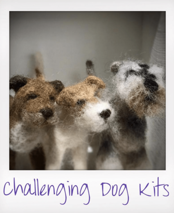 Challenging dog kits
