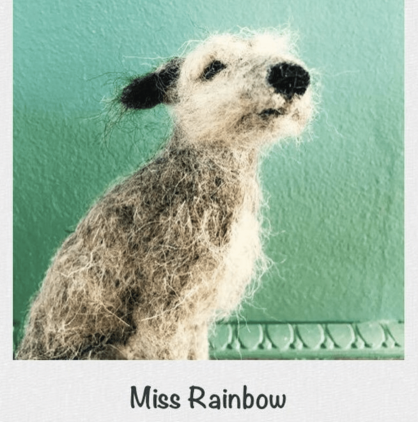 Miss Rainbow Herdwick