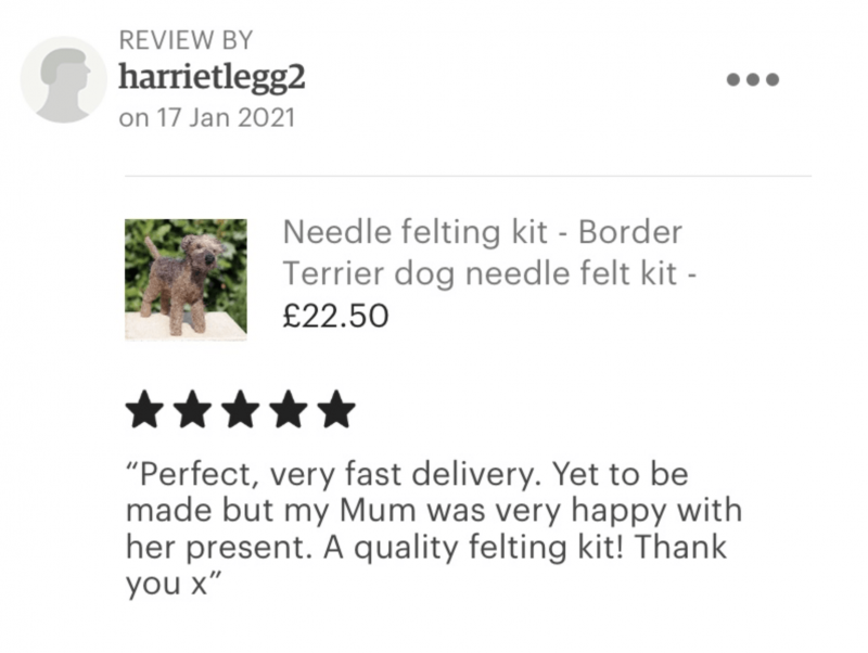 Border terrier review