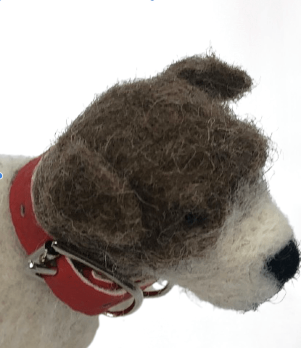 Jasper Jack Russell Dog with collar 3