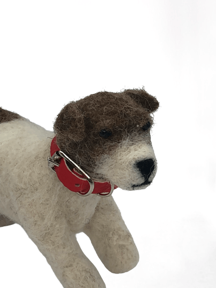 Jasper Jack Russell Dog with collar 1